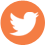 TwitterBird-Celosia-Orange